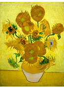 十五朵向日葵 - Sunflowers